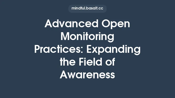 Advanced Open Monitoring Practices: Expanding the Field of Awareness Thumbnail