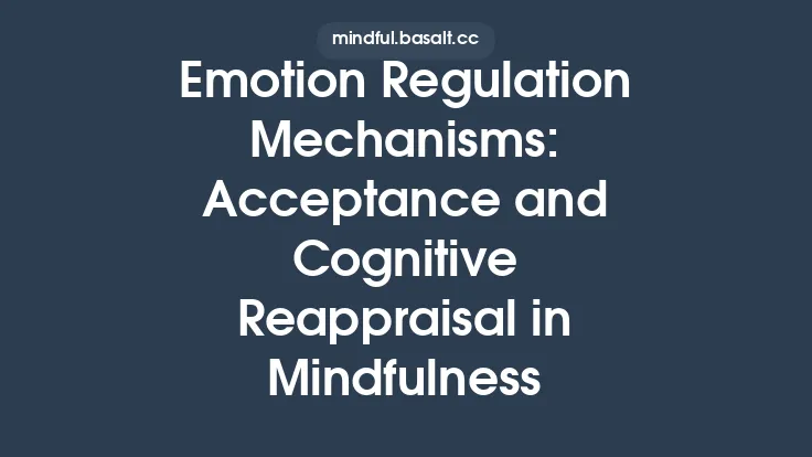 Emotion Regulation Mechanisms: Acceptance and Cognitive Reappraisal in Mindfulness Thumbnail