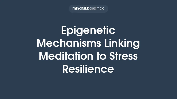 Epigenetic Mechanisms Linking Meditation to Stress Resilience Thumbnail