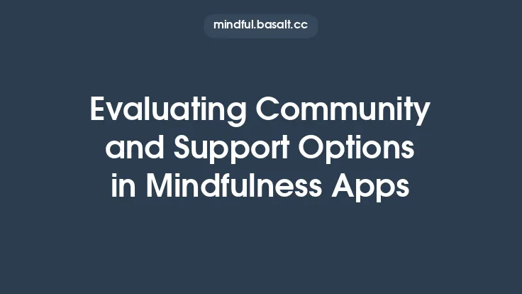 Evaluating Community and Support Options in Mindfulness Apps Thumbnail