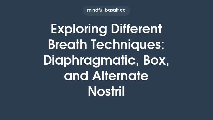 Exploring Different Breath Techniques: Diaphragmatic, Box, and Alternate Nostril Thumbnail