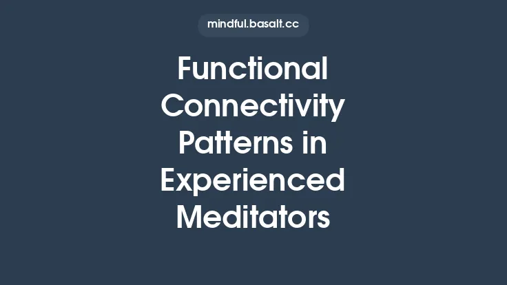 Functional Connectivity Patterns in Experienced Meditators Thumbnail