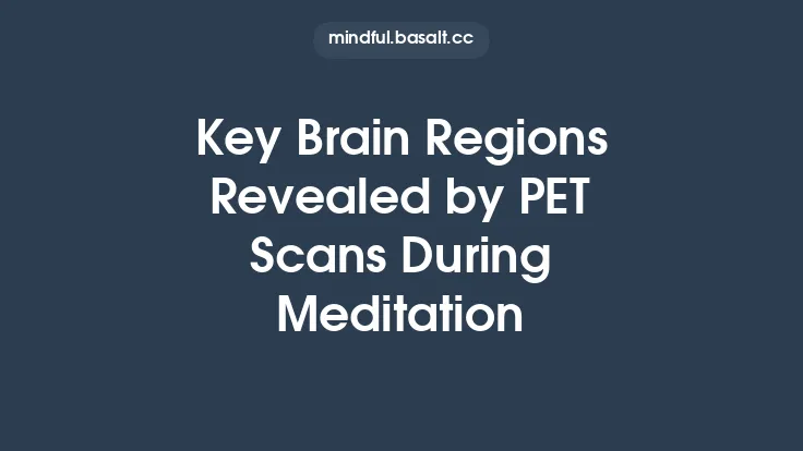 Key Brain Regions Revealed by PET Scans During Meditation Thumbnail
