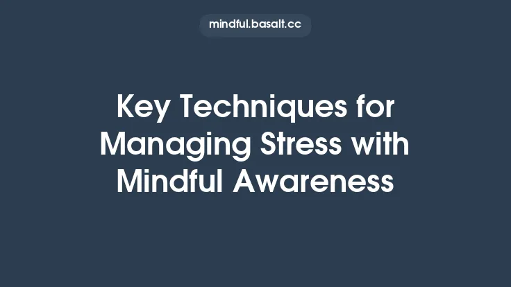 Key Techniques for Managing Stress with Mindful Awareness Thumbnail