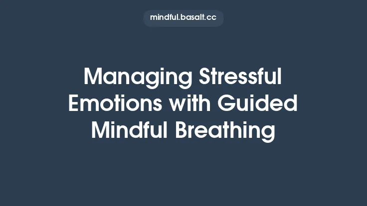 Managing Stressful Emotions with Guided Mindful Breathing Thumbnail