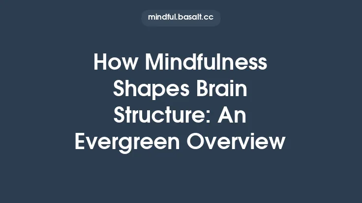 How Mindfulness Shapes Brain Structure: An Evergreen Overview Thumbnail