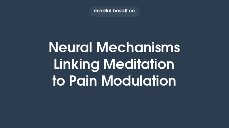 Neural Mechanisms Linking Meditation to Pain Modulation Thumbnail