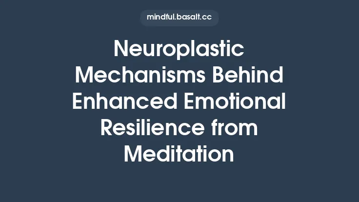 Neuroplastic Mechanisms Behind Enhanced Emotional Resilience from Meditation Thumbnail