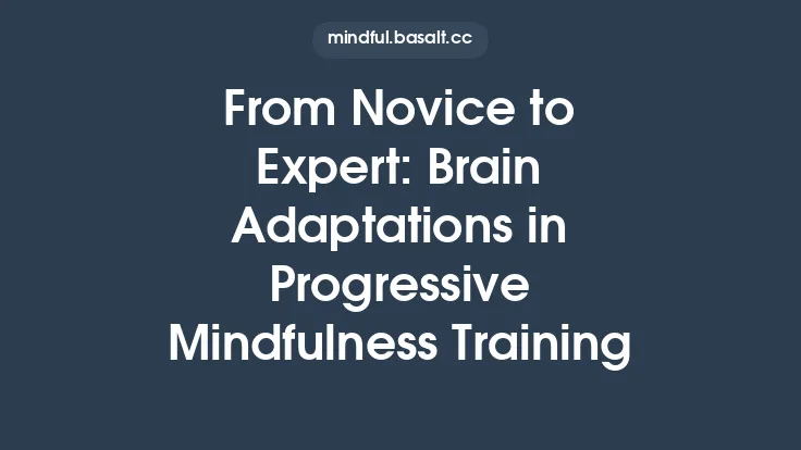 From Novice to Expert: Brain Adaptations in Progressive Mindfulness Training Thumbnail
