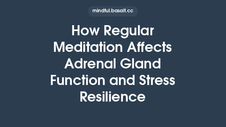 How Regular Meditation Affects Adrenal Gland Function and Stress Resilience Thumbnail