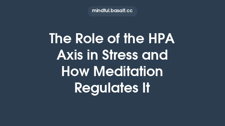 The Role of the HPA Axis in Stress and How Meditation Regulates It Thumbnail