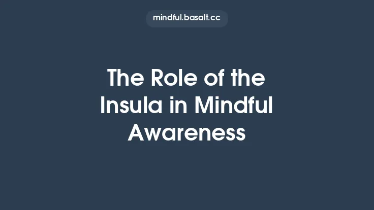 The Role of the Insula in Mindful Awareness Thumbnail