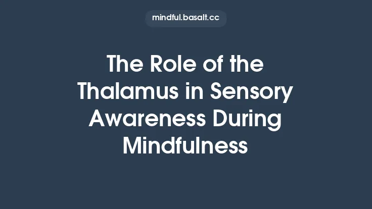 The Role of the Thalamus in Sensory Awareness During Mindfulness Thumbnail