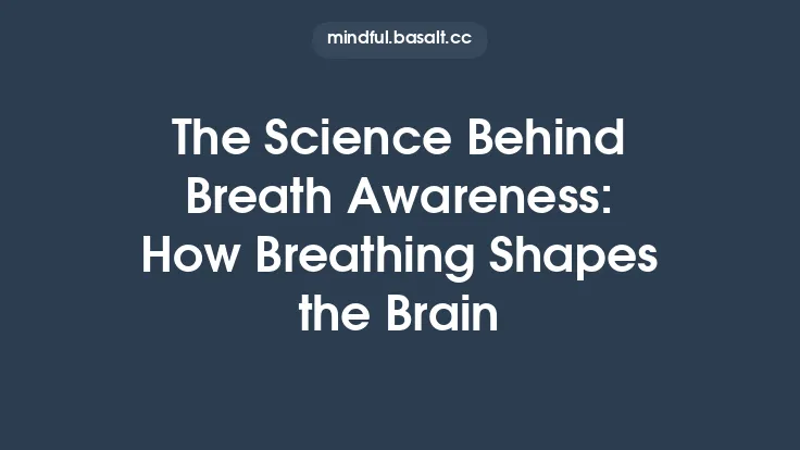 The Science Behind Breath Awareness: How Breathing Shapes the Brain Thumbnail