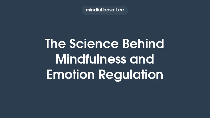 The Science Behind Mindfulness and Emotion Regulation Thumbnail
