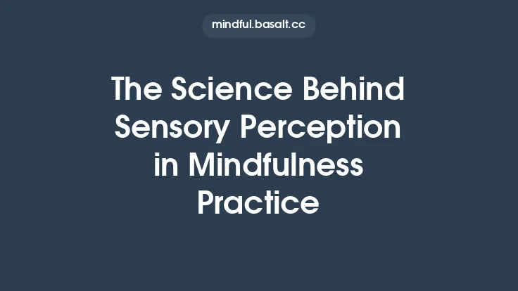 The Science Behind Sensory Perception in Mindfulness Practice Thumbnail