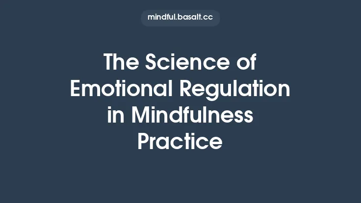 The Science of Emotional Regulation in Mindfulness Practice Thumbnail