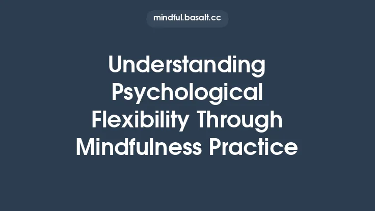 Understanding Psychological Flexibility Through Mindfulness Practice Thumbnail