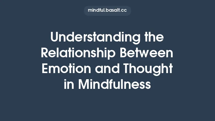 Understanding the Relationship Between Emotion and Thought in Mindfulness Thumbnail