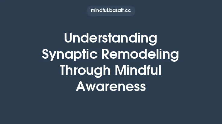 Understanding Synaptic Remodeling Through Mindful Awareness Thumbnail