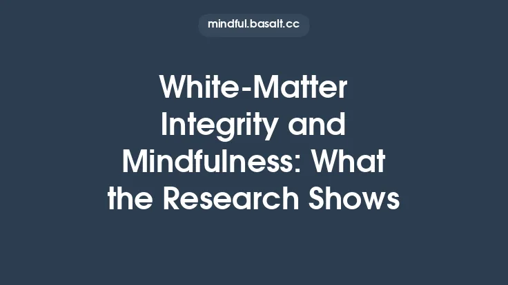 White‑Matter Integrity and Mindfulness: What the Research Shows Thumbnail